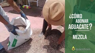 Qué ABONOS usar para nuestro AGUACATE  PARTE 1 : Mezcla  2020