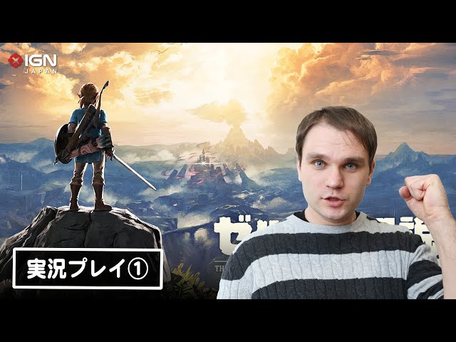 ぴぃやんさん専用　ゼルダの伝説 ぴぃやんさん専用 ゼルダの伝説 ぴぃやんさん専用 ゼルダの伝説