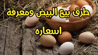 طرق بيع وتسويق البيض ومعرفة اسعاره يومياً وتحقيق الارباح