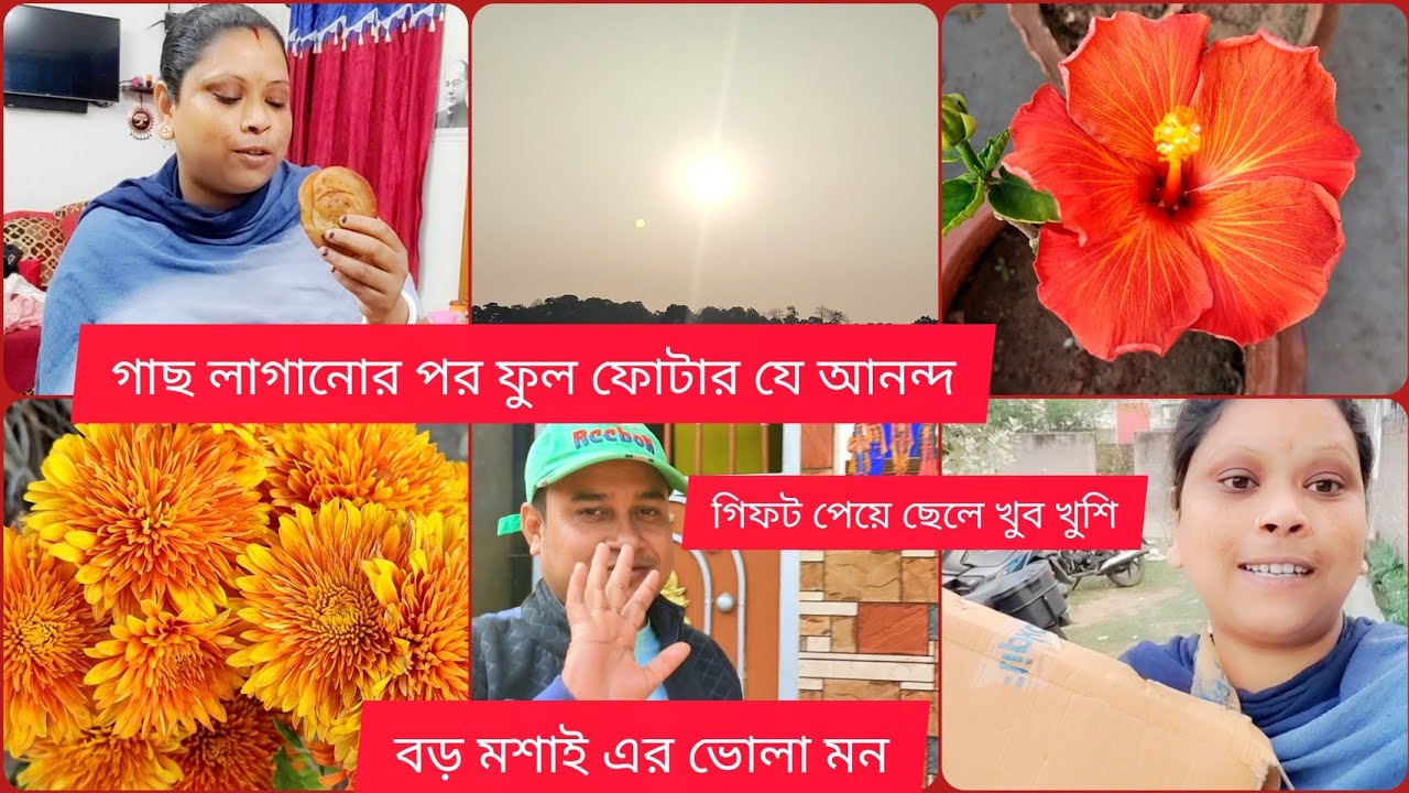 গাছ লাগানোর পরে ফুল ফুটলে এর আনন্দ বলে বোঝানো যায় না || ছেলে খুব খুশি হয়েছে কি কারনে || 