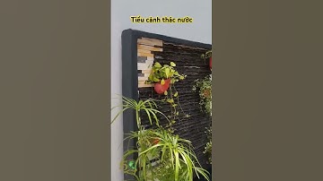 Tiểu cảnh thác nước #hồcákoi #honnonbo #phongthuy #thácnước