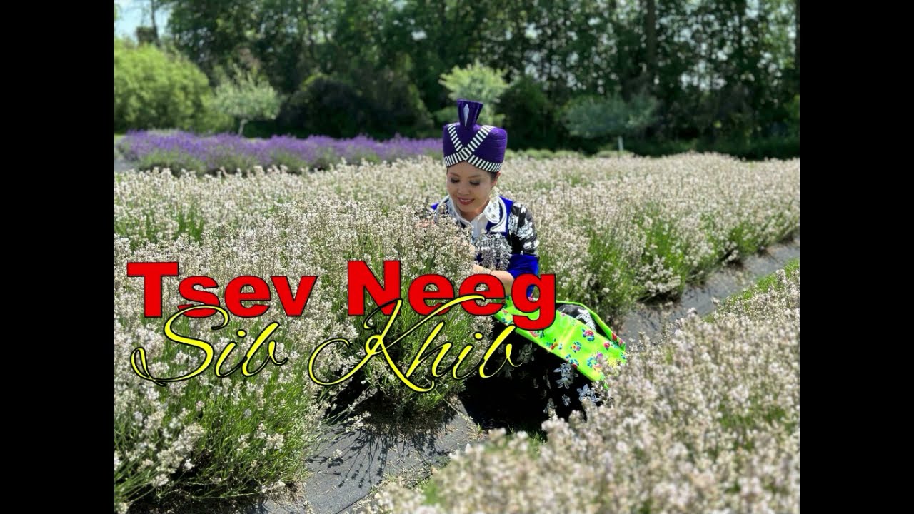 Tsev Neeg Sib Khib~02/24/2024~