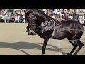 Horse dance mela ghulam shah ludan 2018 fakhar abbas maitla