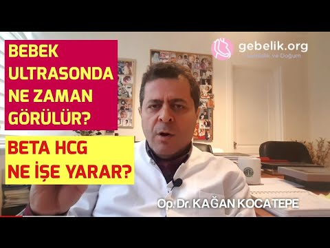 KAN GEBELİK TESTİ (BETA HCG) NE ZAMAN POZİTİF OLUR, NE İŞE YARAR? BEBEK ULTRASONDA NE ZAMAN GÖRÜLÜR?