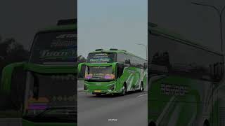 Download Lagu STORY WA BUS MSM ASYROF RATU PANDORA X TUAN MUDA REBORN TERBARU 2024 #fypシ #fyp #shorts MP3