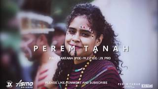 PEREM TANAH |PACE SANTANA|POE-W.Z.P.O.G|JX PRO (Official Audio)