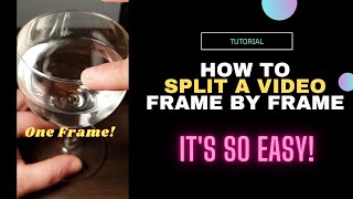 Celebrity How to split a video frame by frame Net Worth