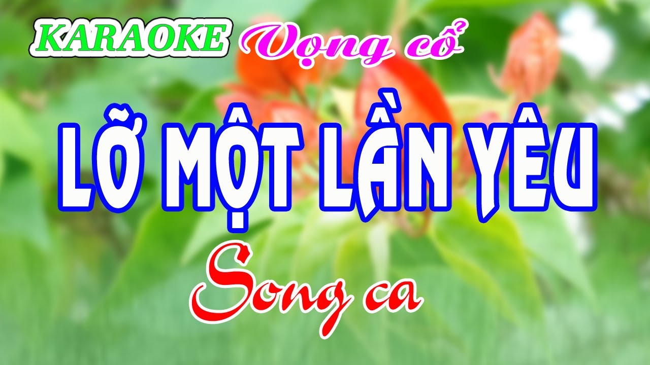 KARAOKE   LỠ MỘT LẦN YÊU _ SONG CA