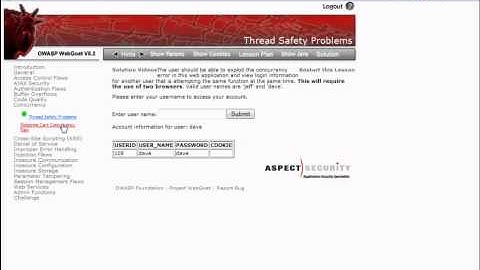 16 Concurrency   Thread Safety Problems & Shopping Cart Concurrency Flaw