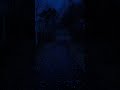 Walk into the Blue Hour
