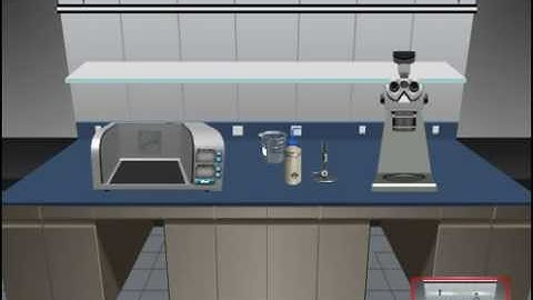 Late Nite Labs Intro