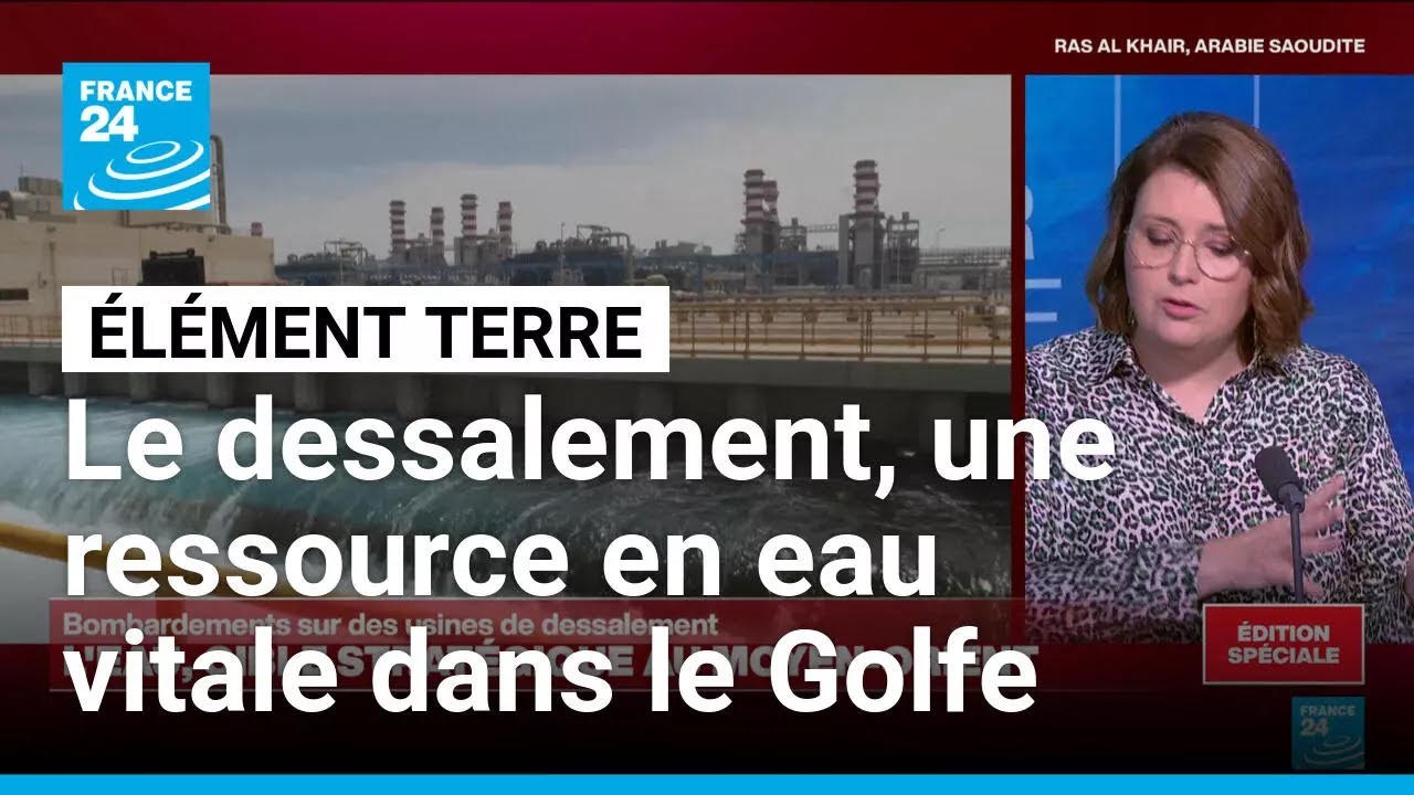Les usines de dessalement de l'eau au Moyen-Orient, une cible stratégique • FRANCE 24