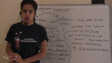 Tracing Evolutionary Relationship class 10 BIO ncert