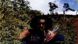 Peter Tosh - Igziabeher (Let Jah Be Praised) With Lyrics