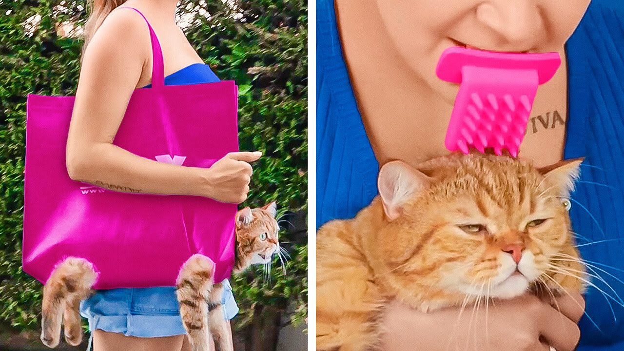 Cute And Smart PET HACKS, Gadgets For Your Cats & Dogs