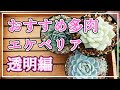 【多肉植物】おすすめのエケベリアをご紹介します。今回は透明感の素敵なエケベリアです！