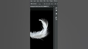 Select complicated feather in photoshop! #shorts