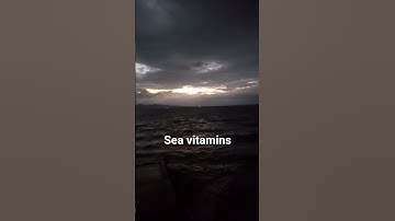 SEA VITAMINS /SUNRISE VIEW/BEAUTIFUL MORNING LAGUNA DE BAY  VIEW/ #sunrise #short #lake #shortvideo