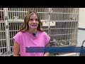 21st annual Fur Ball to raise money for animals in need in Great Falls