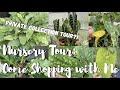 RARE HOUSE PLANT SHOPPING | SPRINGWATER GARDEN CENTRE NURSERY TOUR