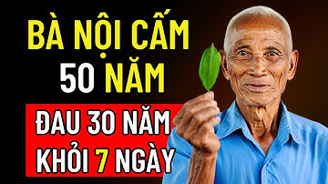 LÁ TRẦU KHÔNG + RƯỢU: PHÁT HIỆN MỚI TỪ CỤ ÔNG 105 TUỔI GIÚP 95% NGƯỜI CAO TUỔI DỨT ĐAU CỘT SỐNG!