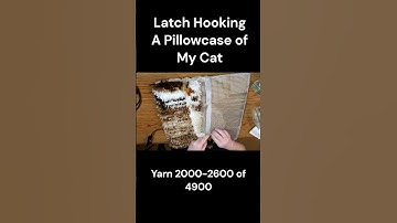 Latch Hook Timelapse (Part 5) #cat #latchhook