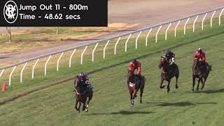 Flemington Jump Outs 25 Jan 2019 Jump out 11
