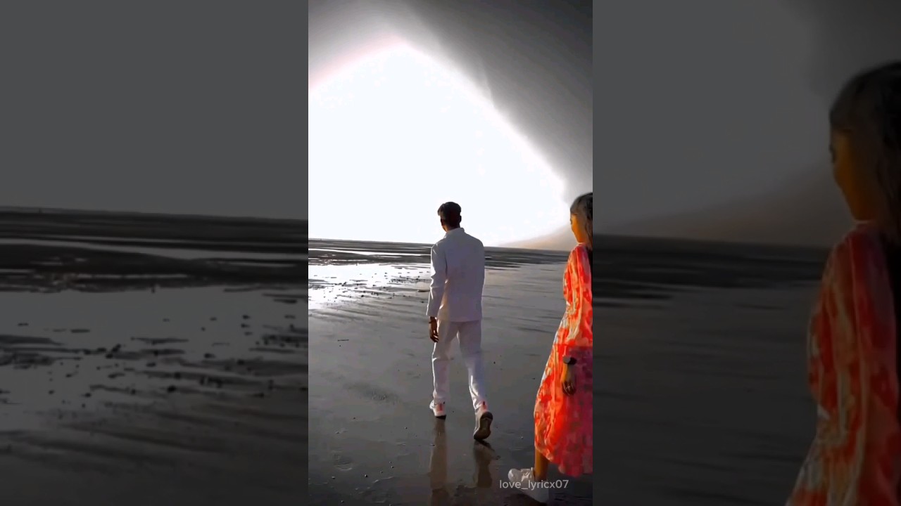 Jane meriye main tera ha ha ji tera tu karle yakin status 2.
