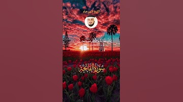 الشيخ فارس عباد  #explore #اكسبلور #قران_راحة_نفسية #لايك #قرآن #قران_كريم  #سورة_الفاتحة