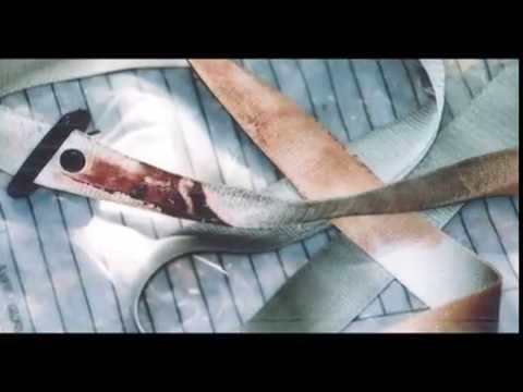 პანორამა ანონსი ნახეთ 20 ივლისს 20:00 საათზე