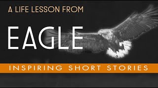 MOTIVATIONAL SHORT STORY - Eagle And Crow Story | Life Lessons
