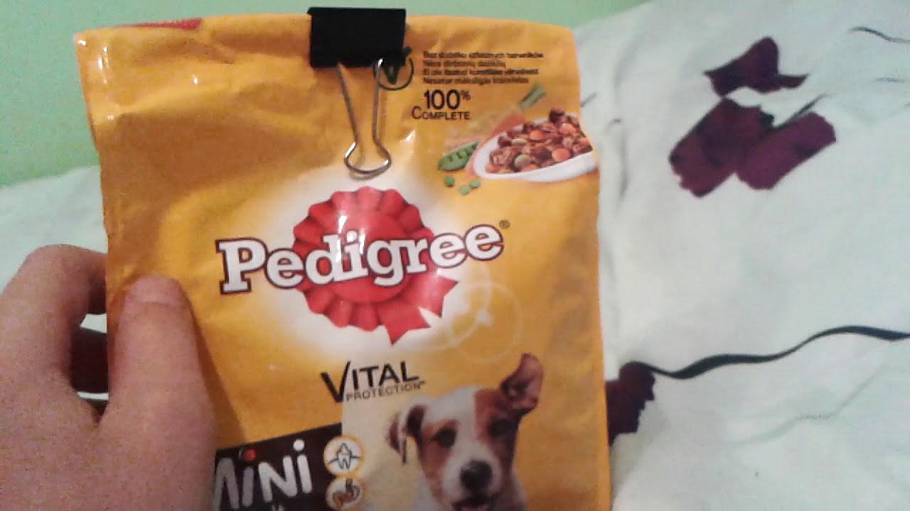 Aktualizacja rzeczy mojego psa|Śledzimy łapy misi (czytaj opis)