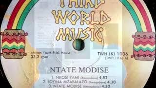 Amaqabane Featuring Blondie Makhene   Ntate Modise SA 1990 African Zulu Funk Bayou Funk