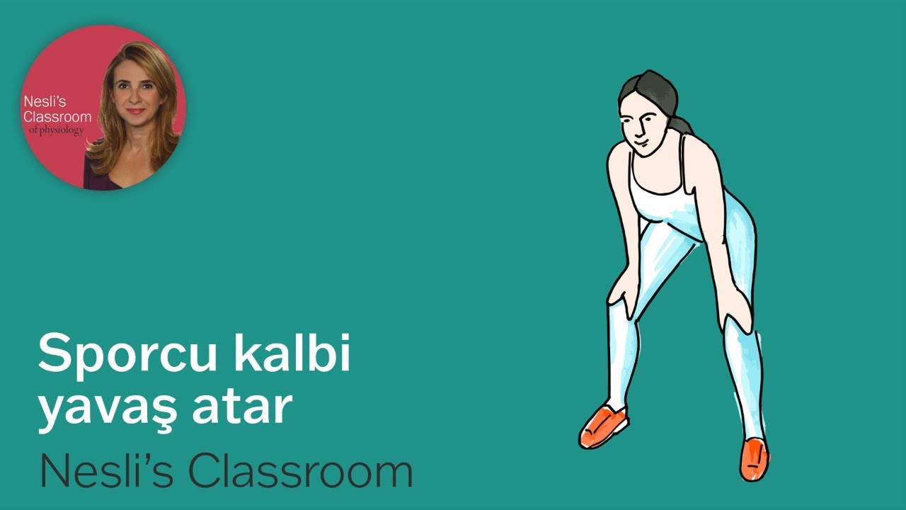 Sporcu kalbi yavaş atar