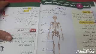 علوم الصف الخامس الوحدة السابعه الدرس الثالث: الجهاز الهيكلي والجهاز العضلي مع حل اسئله الدرس