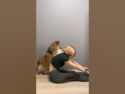 Зарядка с собакой - YouTube