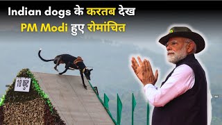 Download Lagu PM Modi Watches BSF Indian Breed Dog Squad Stunts MP3