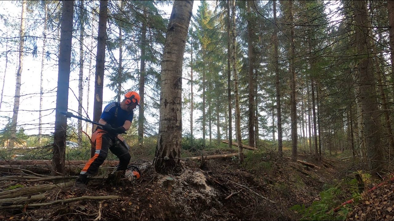 Josko se olisi viimeinen kausi kohta / Vähän koostetta syyskuusta metsästä ja muualtakin