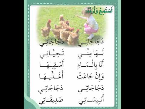 انشودة دجاجاتي ل الصف الاول مكررة للحفظ