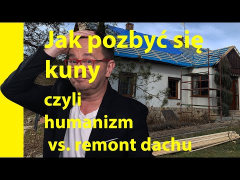 Wideo: Czy wszystkie kuny lekarskie są z prawdziwej skóry?