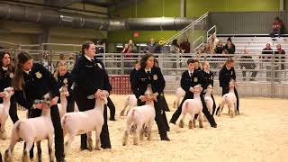 CFISD Livestock Show  Lamb Judging | Feb 4th, 2022