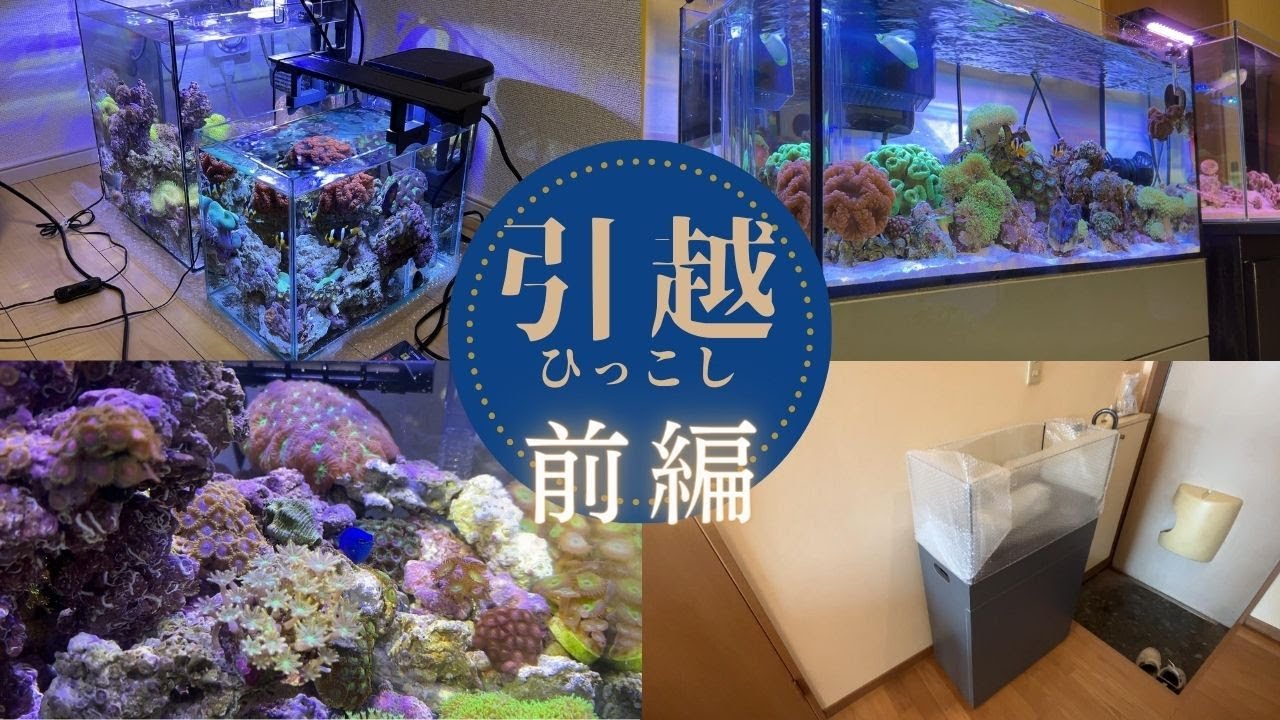 前編】水槽の引っ越しは大変！？準備編 - YouTube
