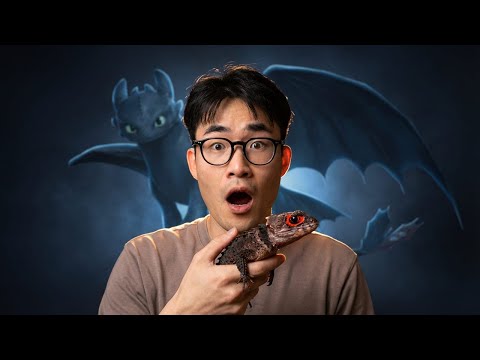 Skip.. If You Don't Like Dragons..