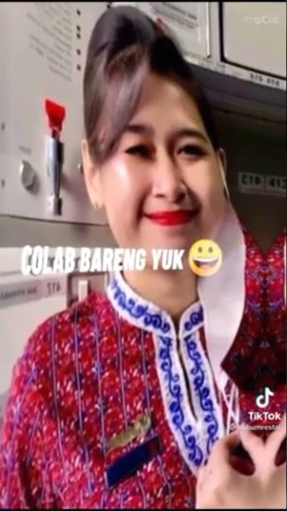 story wa pramugari lion 🇮🇩