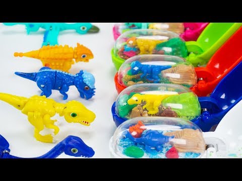 Vídeo: Com Muntar Un Plató Dino