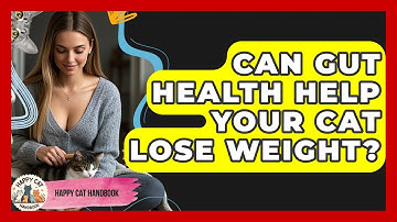 Can Gut Health Help Your Cat Lose Weight? - Happy Cat Handbook