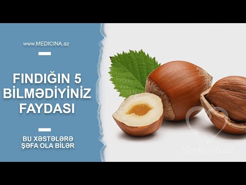 Fındığın 5 bilmədiyiniz FAYDASI   Bu xəstələrə şəfa ola bilər