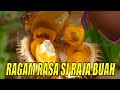 Ragam rasa si raja buah  jejak petualang 010821