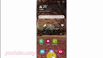 Samsung Galaxy S10 : How to enable or disable Palm swipe to capture