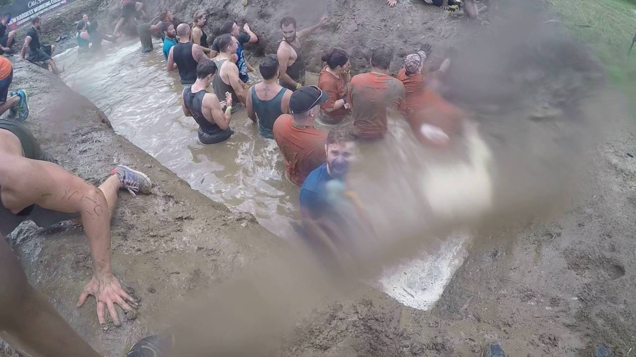 Pudgy Budgies Mud Mile 2.0 YouTube